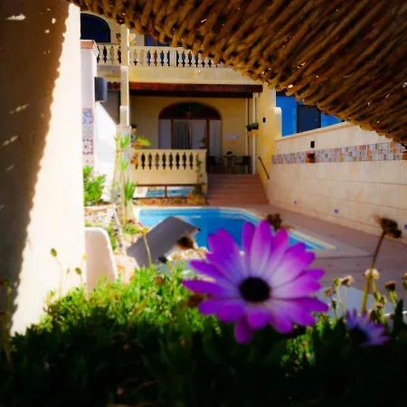 לינה וארוחת בוקר Narcisa