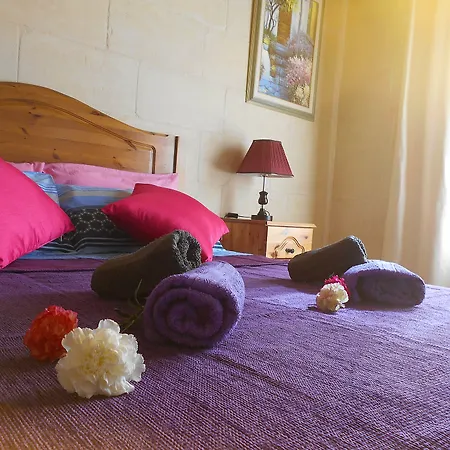 Narcisa לינה וארוחת בוקר נדור