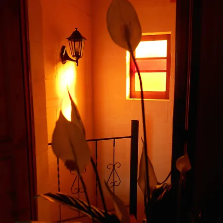 לינה וארוחת בוקר Narcisa