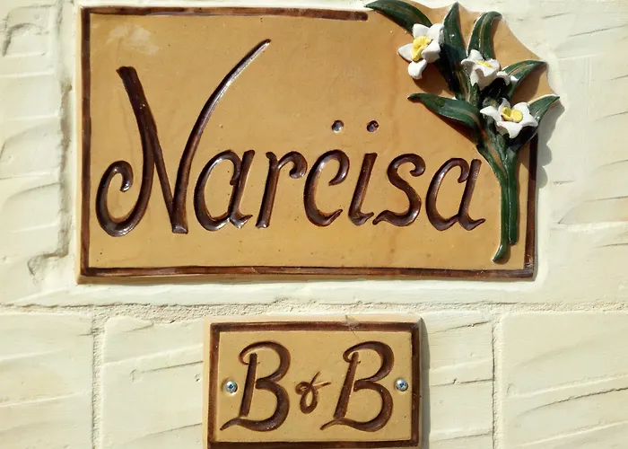 Narcisa