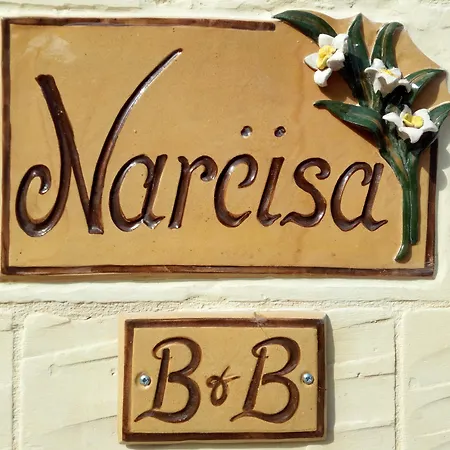Narcisa