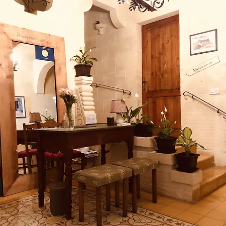 Narcisa 住宿加早餐酒店 纳杜尔