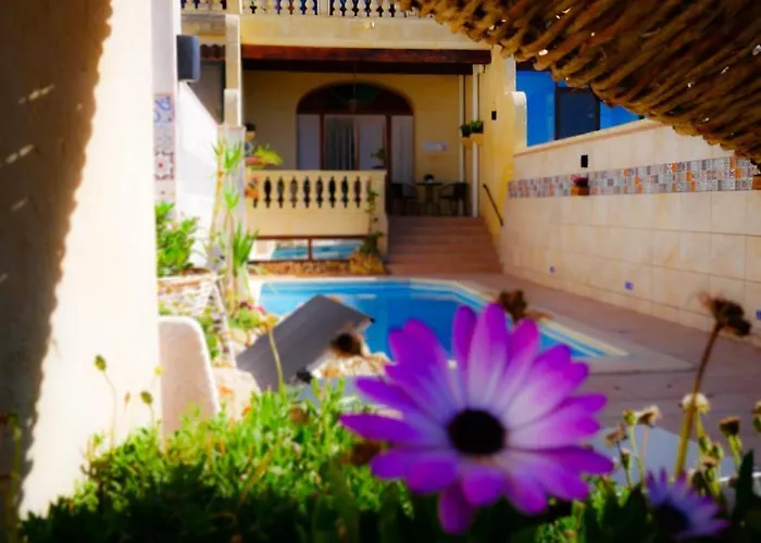 Bed & Breakfast Narcisa