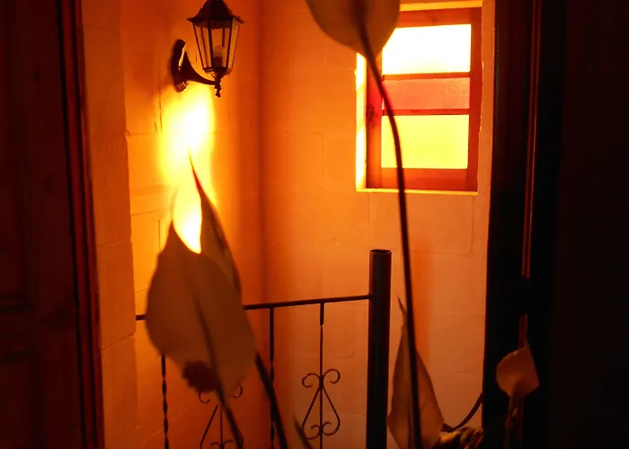 Bed & Breakfast Narcisa